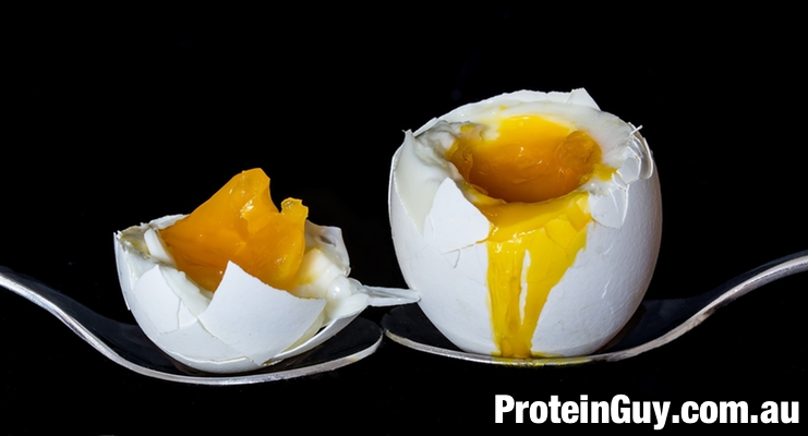 How much Protein in a Bolied Egg